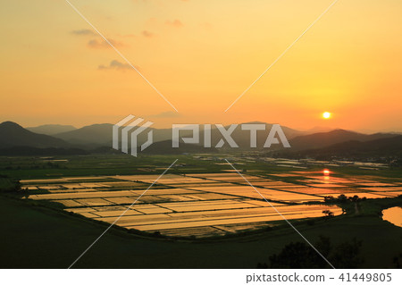 The gift of nature! 41449805