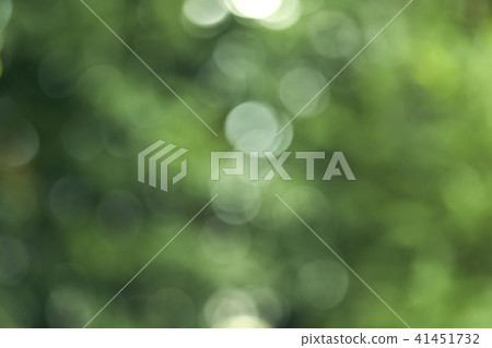 bokeh background of the summer forest bokeh background of the summer forest 41451732
