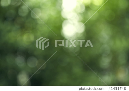 bokeh background of the summer forest bokeh background of the summer forest 41451748