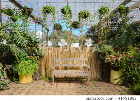 Tiny corner garden flower and wooden bench Tiny corner garden flower and wooden bench 41451982