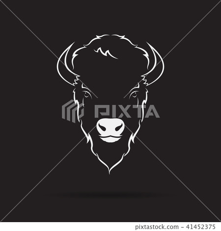 Vector of buffalo head design on black background. Vector of buffalo head design on black background. 41452375