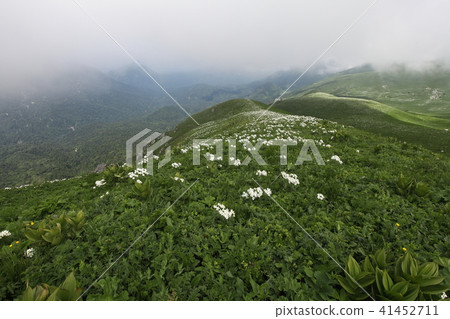 Spring landscapes in mountains 41452711