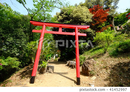 Ohtori Orihime Shrine(婚姻/牌坊鳥居) Ohtori Orihime Shrine(婚姻/牌坊鳥居) 41452997