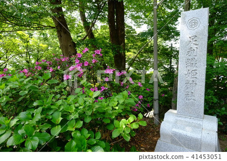 Ohtori Orihime Shrine (parking lot entrance) Ohtori Orihime Shrine (parking lot entrance) 41453051