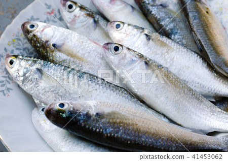 Fresh Mullet Fish for Cooking. 41453062
