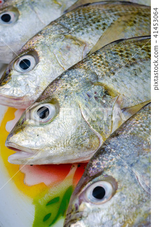 Fresh Lined Silver Grunt Fish for Cooking. 41453064
