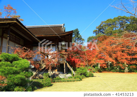 Autumn in Arashiyama: Okochi Sanso Garden Autumn in Arashiyama: Okochi Sanso Garden 41453213