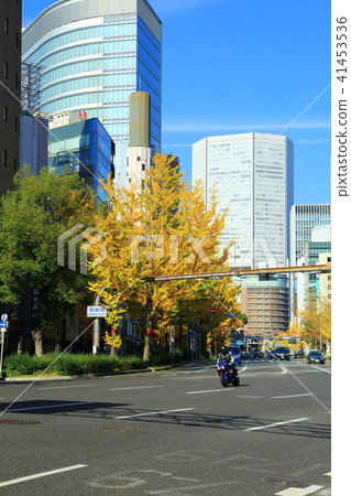 秋天Midosuji銀杏樹樹行 秋天Midosuji銀杏樹樹行 41453536