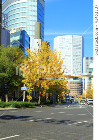 秋天Midosuji銀杏樹樹行 秋天Midosuji銀杏樹樹行 41453537