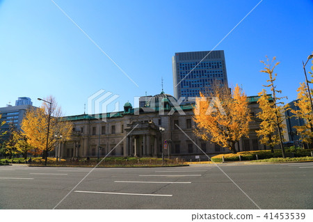 秋天Midosuji銀杏樹樹行 秋天Midosuji銀杏樹樹行 41453539