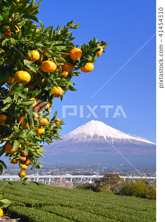 從Iwamoto-6814的秋天風景 41454310