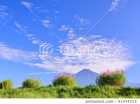 從庭院低谷的秋天風景 - 223416 從庭院低谷的秋天風景 - 223416 41454353