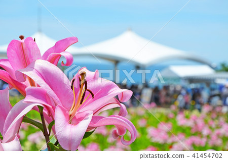 Landscape of Osaka Miyusuri Garden 41454702