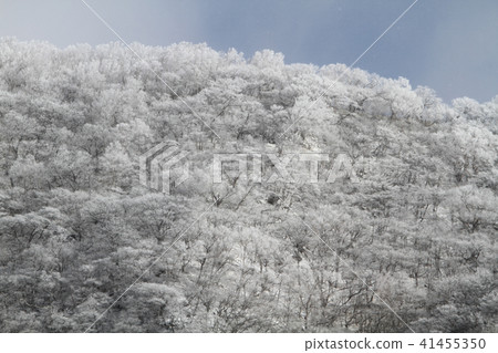 Snow mountain Snow mountain 41455350