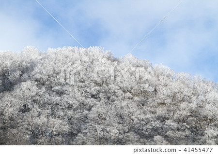 Snow mountain 41455477
