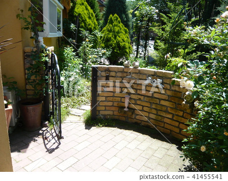 狗衛兵狗跑狗狗和外部寵物 41455541