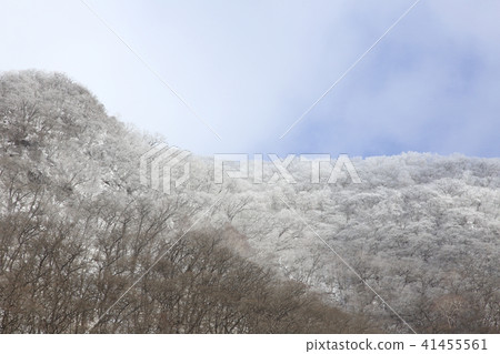 Snow mountain Snow mountain 41455561