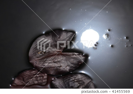 吞下太陽 吞下太陽 41455569
