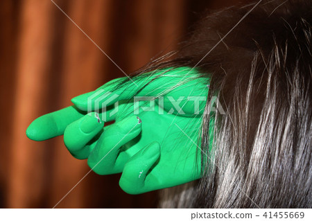 green hand on animal fur clothes detail green hand on animal fur clothes detail 41455669