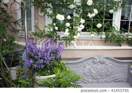 Window side Flower box window decorative window Rose 41455795