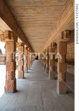 Carved pillars, Airavatesvara Temple, Tamil Nadu 41455842