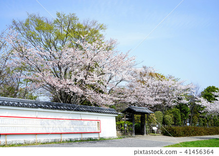 Sekijuku城堡博物館 41456364