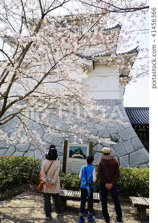 Sekijuku Castle Museum Sekijuku Castle Museum 41456366