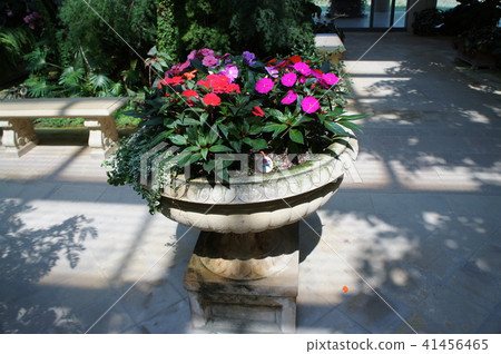 英式花園英式花園玫瑰園花園 41456465