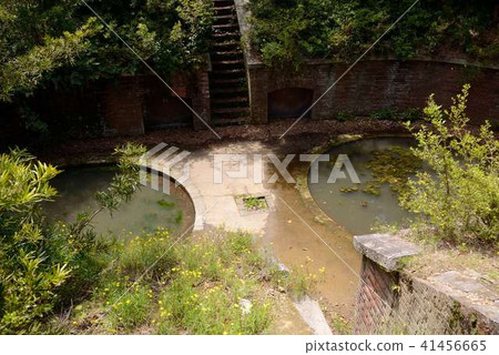 朋友島 朋友島 41456665