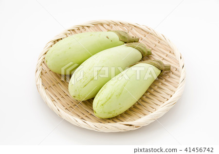 藍茄子 藍茄子 41456742