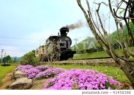 Marugose Forest Park Ikoi no Mori Amemiya No. 21 41458198