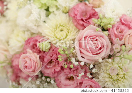 粉紅色的植物花 41458233