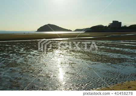 Parent Famigahama 41458278