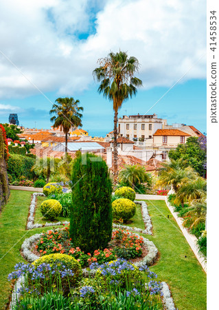 botanical gardens in La Orotava town, Tenerife 41458534