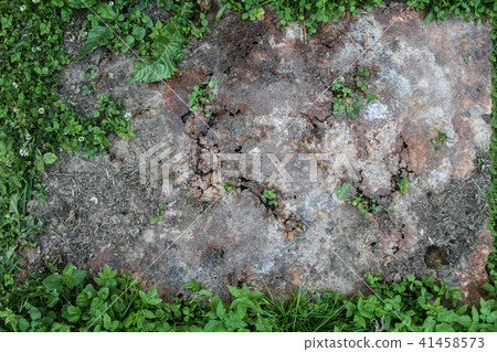 rusty iron on a grass rusty iron on a grass 41458573