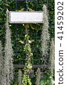 Empty signage hanging with plants decoration 41459202