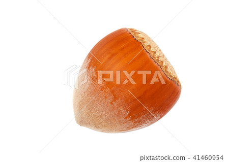 Hazelnut on a isolated on white background. Hazelnut on a isolated on white background. 41460954