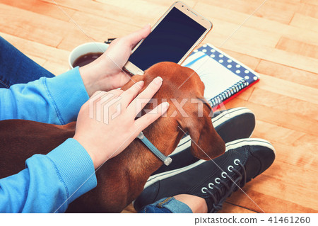 Girl with a dog, a mobile phone and stationery. 41461260