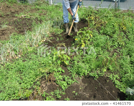 一個厭倦土壤的男人 41461570