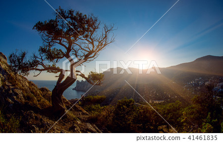 Beauty nature landscape Crimea 41461835