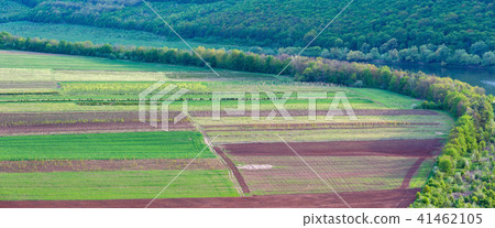 Colorful spring fields. Colorful spring fields. 41462105