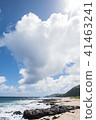 夏威夷海灘 41463241