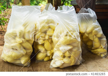 Many Pack of Raw Durian Prepared to Made Fried. Many Pack of Raw Durian Prepared to Made Fried. 41463265