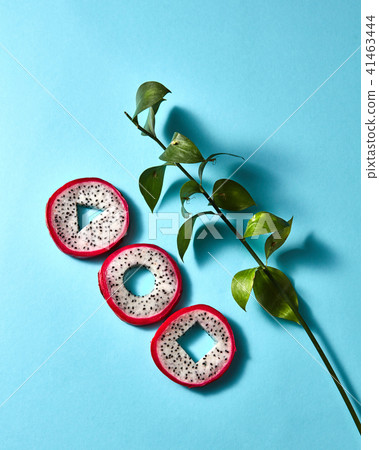 Composition of round pieces of pitaya and green branches on a blue background Composition of round pieces of pitaya and green branches on a blue background 41463444