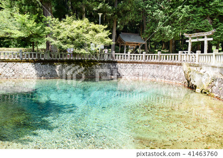 Beppu Bentenkei Beppu Bentenkei 41463760