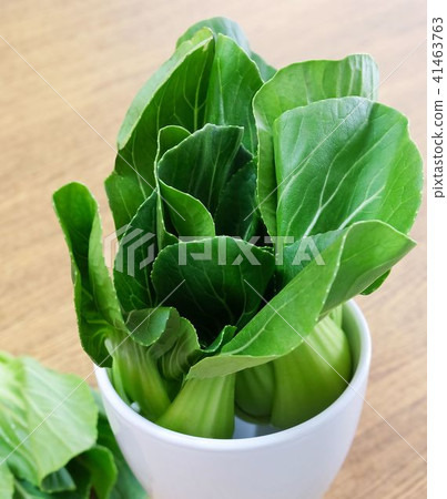 Fresh Green Bok Choy in White Cup Fresh Green Bok Choy in White Cup 41463763