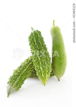 新鮮蔬菜 41464129