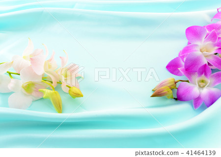 Beautiful flowers Beautiful flowers 41464139
