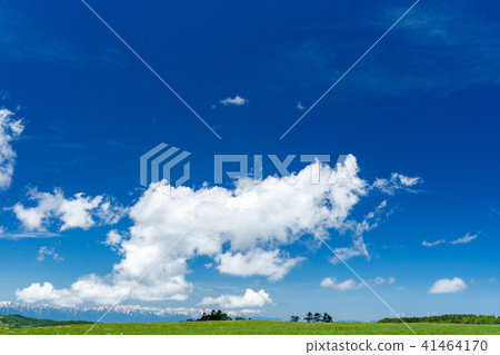 Mikagahara Plateau in early summer Mikagahara Plateau in early summer 41464170