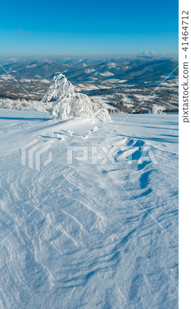 Winter mountain snowy landscape Winter mountain snowy landscape 41464712